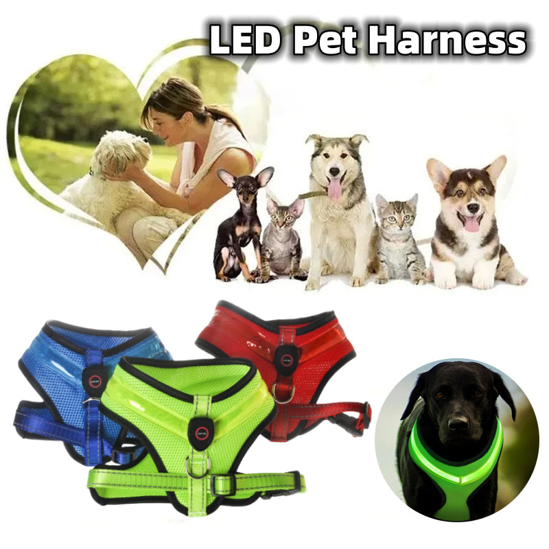 Rechargeable LED Dog Harness for Night Walks