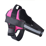 Personalized Dog Harness with Custom Name Patch