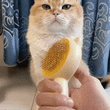 Self-Cleaning Pet Brush for Cats & Dogs