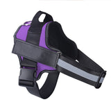Personalized Dog Harness with Custom Name Patch