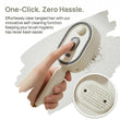 Zairova™ 3-in-1 Electric Mist & Red-Light Hair Brush