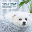 Fluffy Calming Dog Bed for Small & Large Dogs