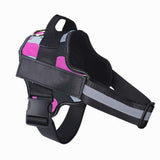 Personalized Dog Harness with Custom Name Patch
