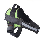 Personalized Dog Harness with Custom Name Patch