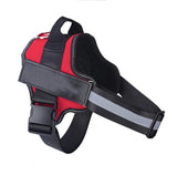 Personalized Dog Harness with Custom Name Patch