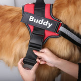 Personalized Dog Harness with Custom Name Patch