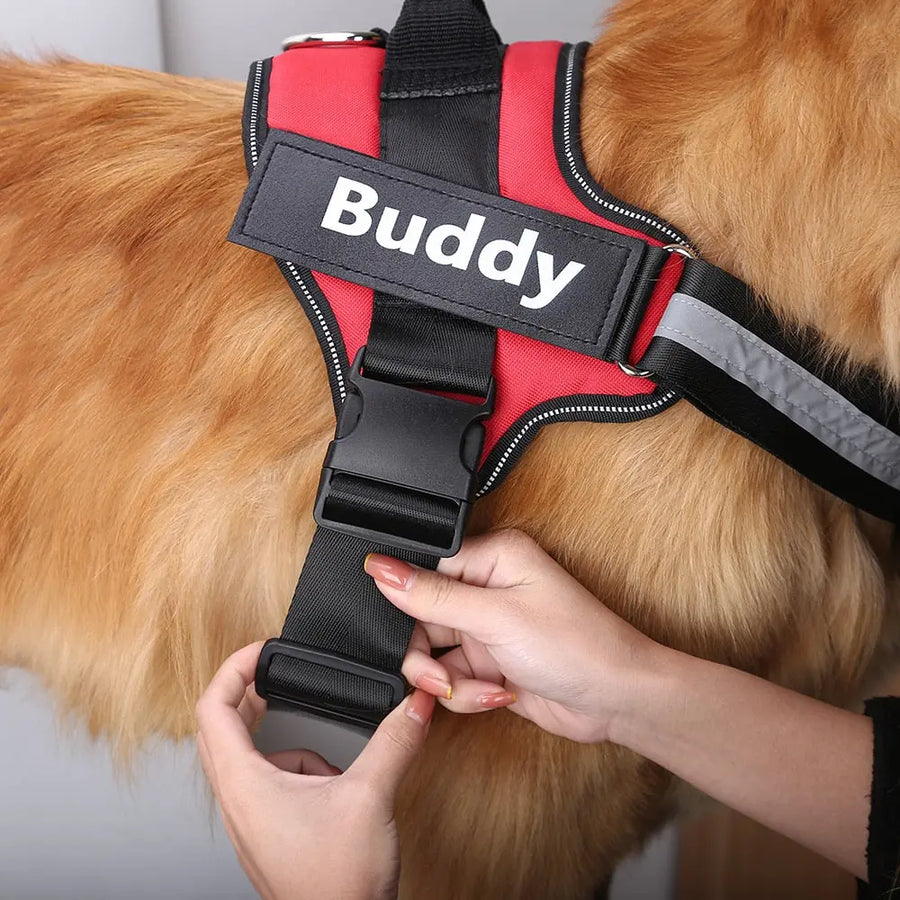 Personalized Dog Harness with Custom Name Patch