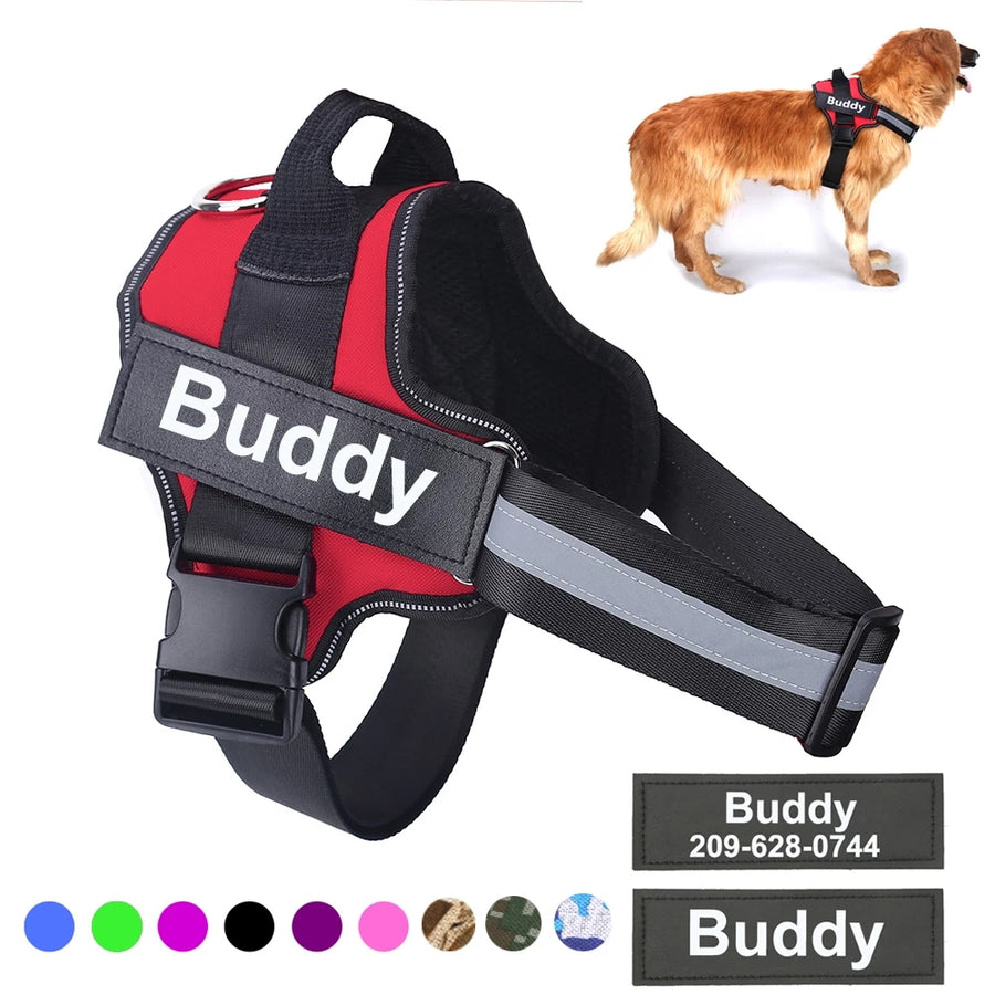 Personalized Dog Harness with Custom Name Patch