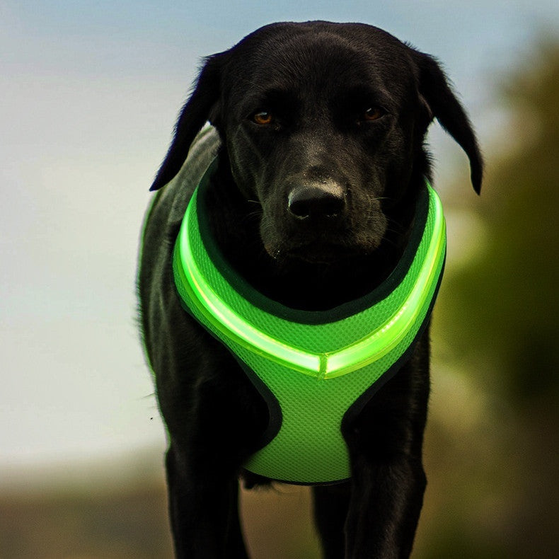 Rechargeable LED Dog Harness for Night Walks