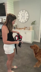 Personalized Dog Harness with Custom Name Patch