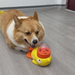 Interactive Treat Dispenser Toy for Cats & Dogs