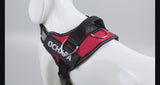 Personalized Dog Harness with Custom Name Patch