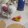 Interactive Treat Dispenser Toy for Cats & Dogs