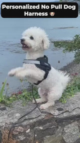 Personalized Dog Harness with Custom Name Patch