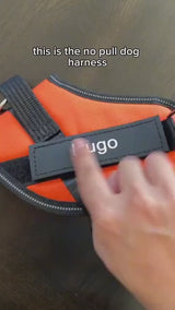 Personalized Dog Harness with Custom Name Patch